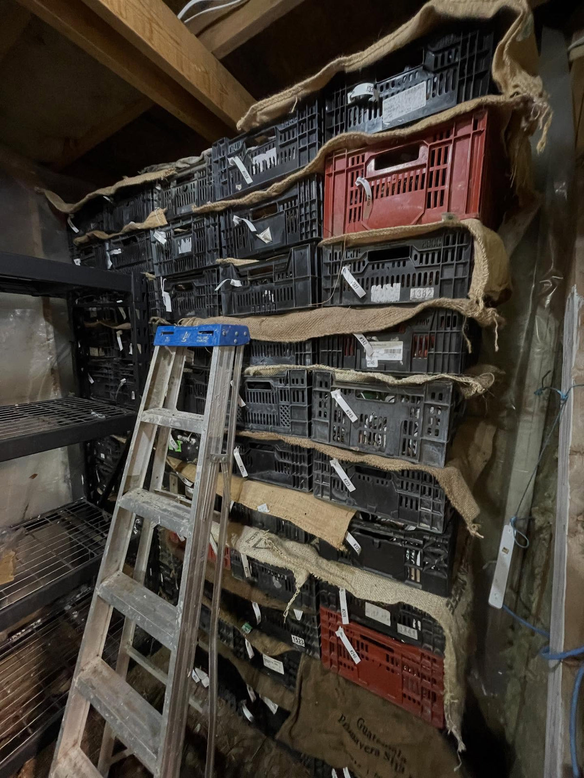 stacking crates, so far so good, image 1 of 5