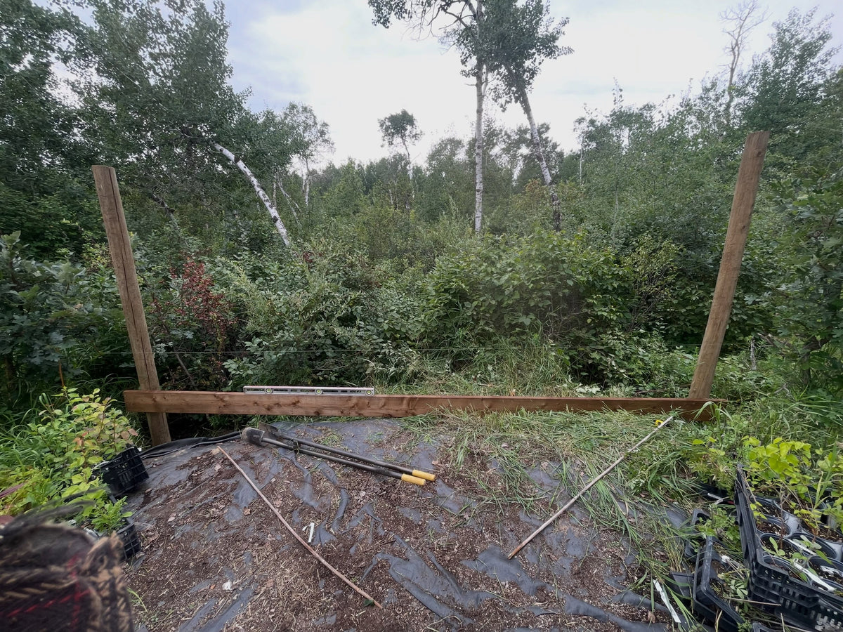 New pole shed beside the greenhouse, image 1 of 2