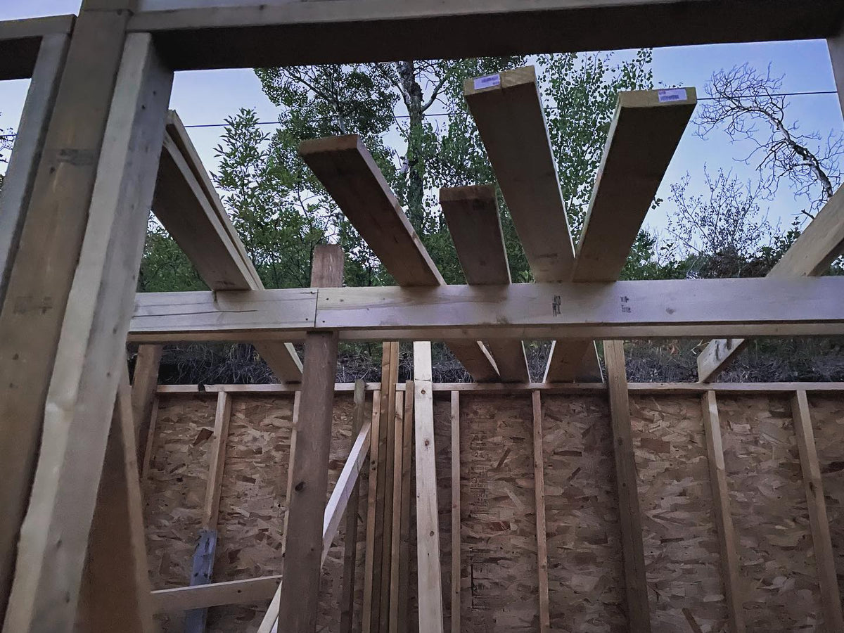 starting the root cellar roof