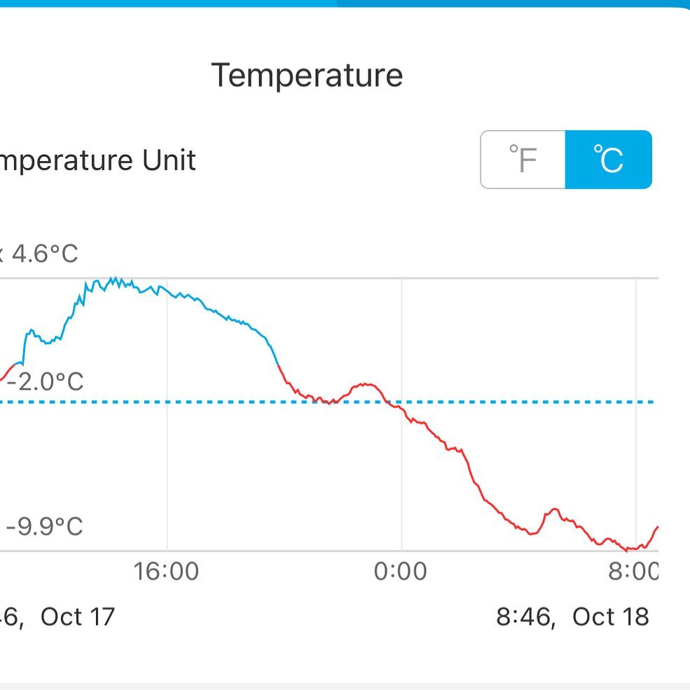 starting to get some cold nights, trees should be ready to dig soon