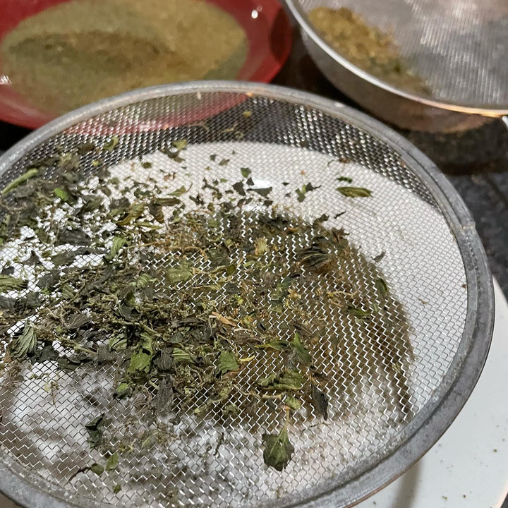 stinging nettle seed, image 3 of 4