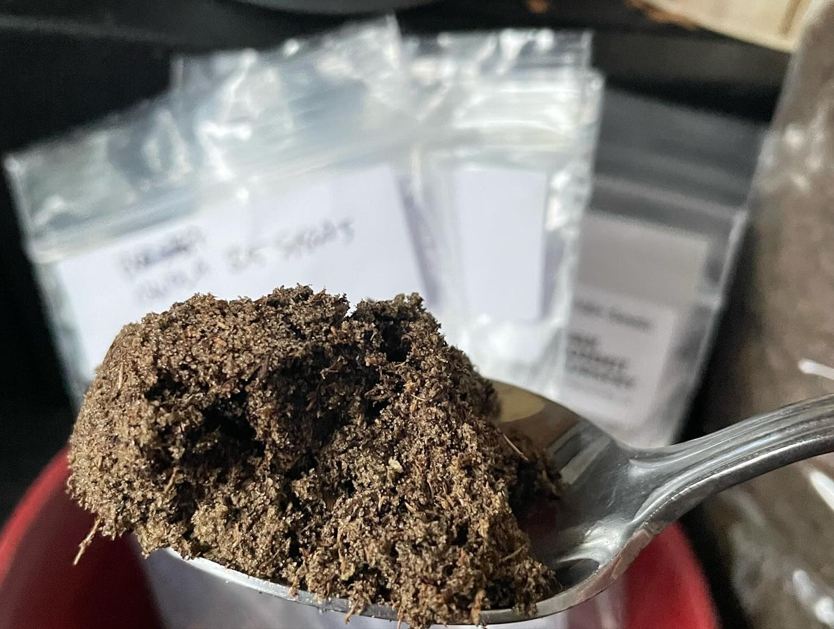 stratifying seeds for the spring, image 2 of 7
