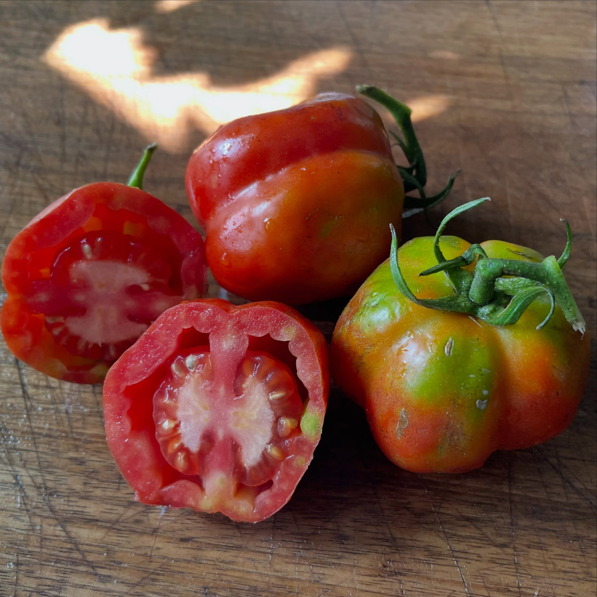 Striped Cavern tomato seed cavity, image 1 of 5