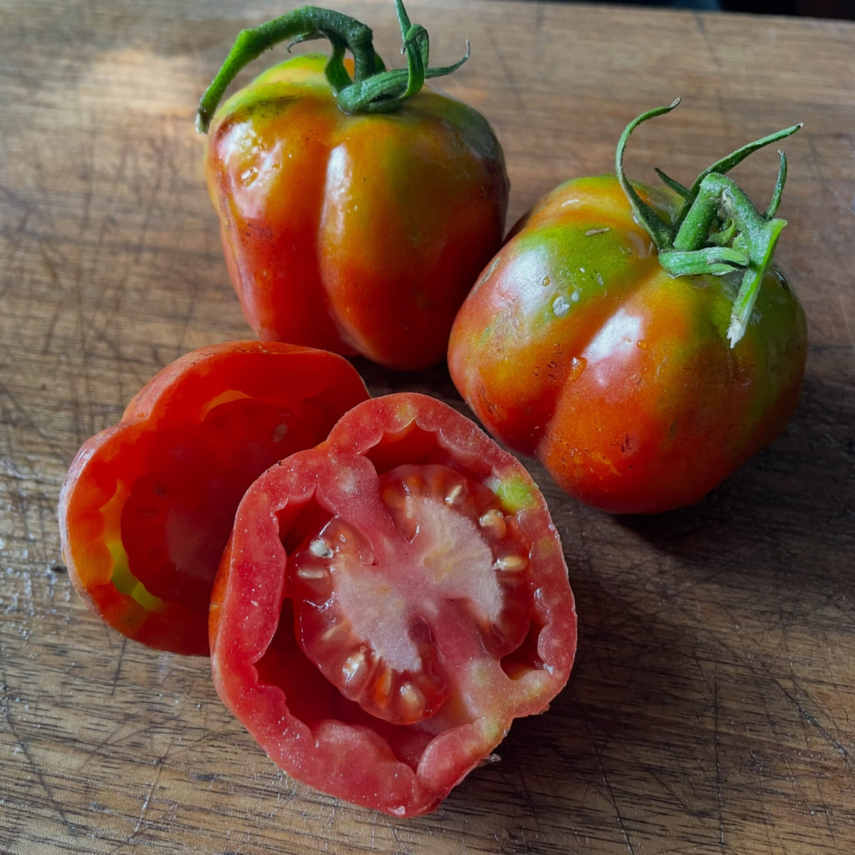 Striped Cavern tomato seed cavity, image 2 of 5