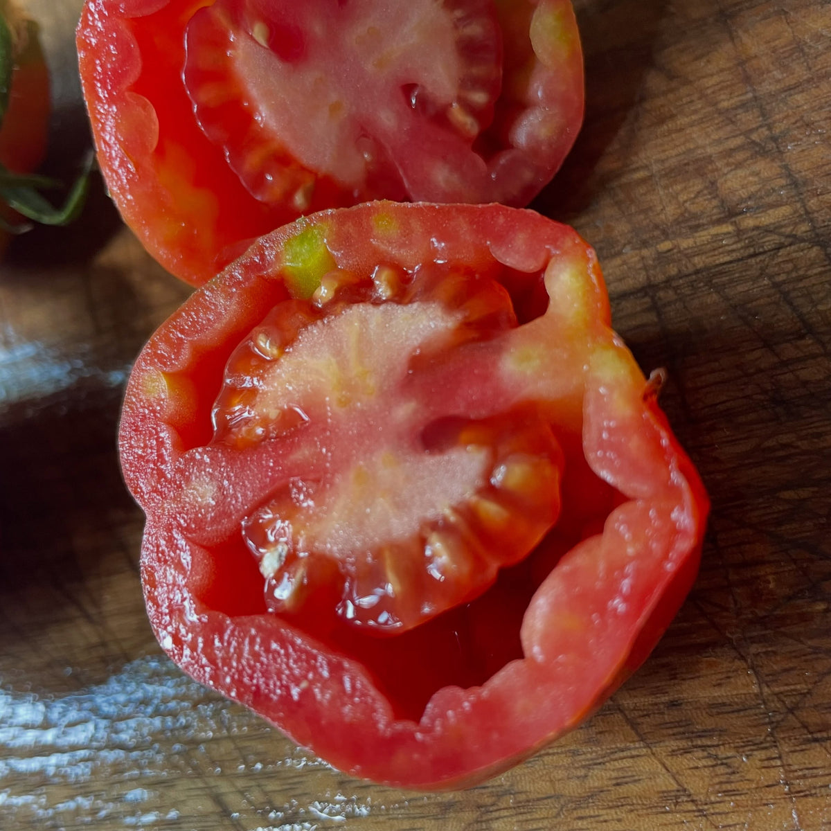 Striped Cavern tomato seed cavity, image 3 of 5