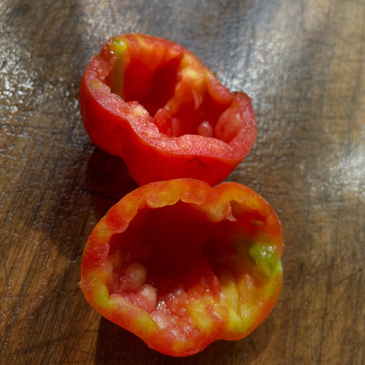 Striped Cavern tomato seed cavity, image 5 of 5