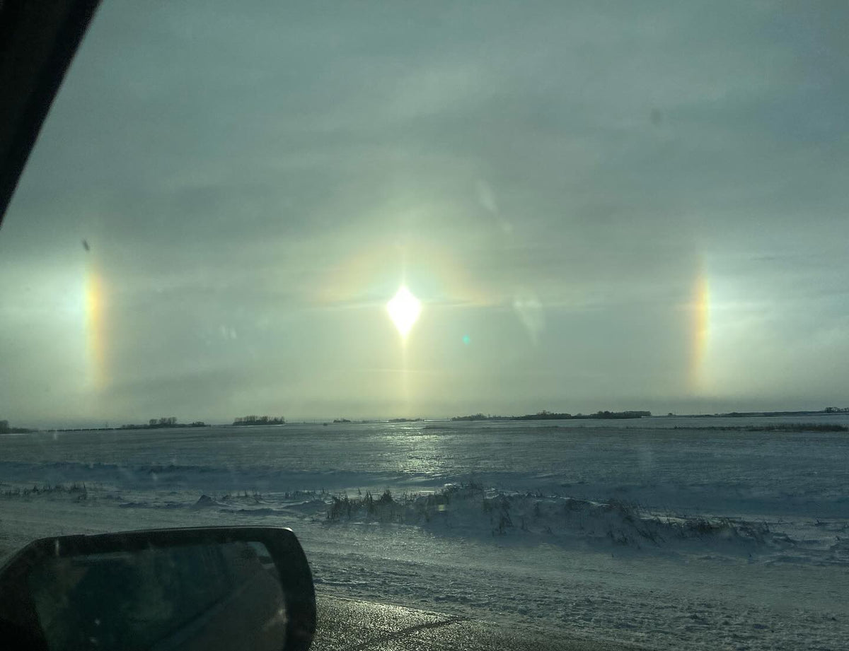 sun dogs