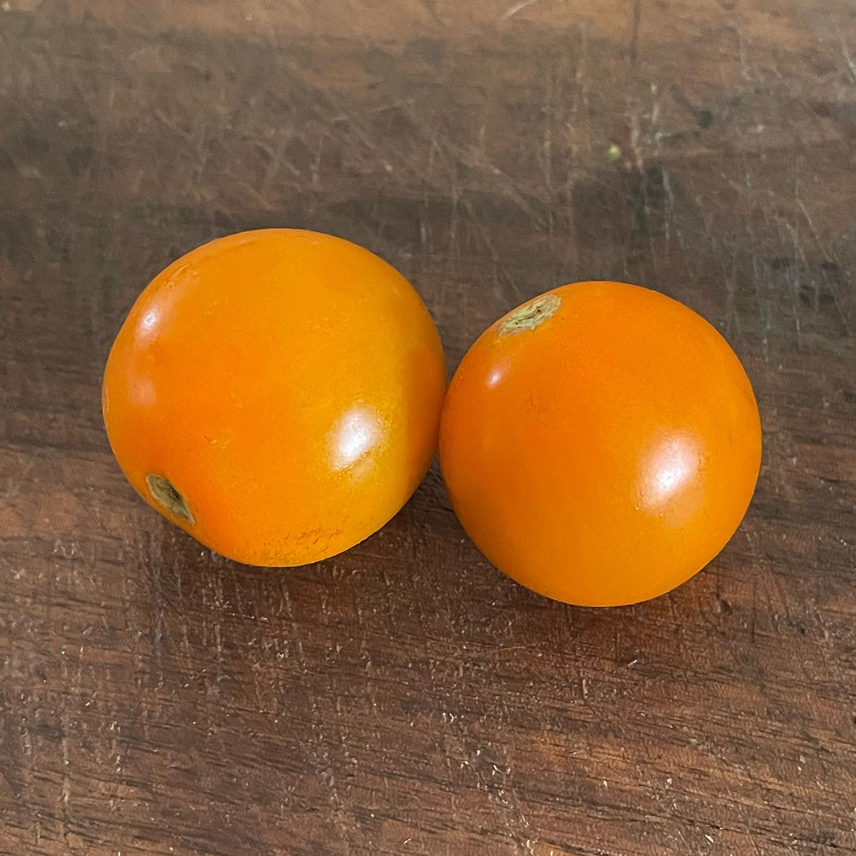 sun sugar xl, a larger sunsugar tomato at about 1, image 1 of 2