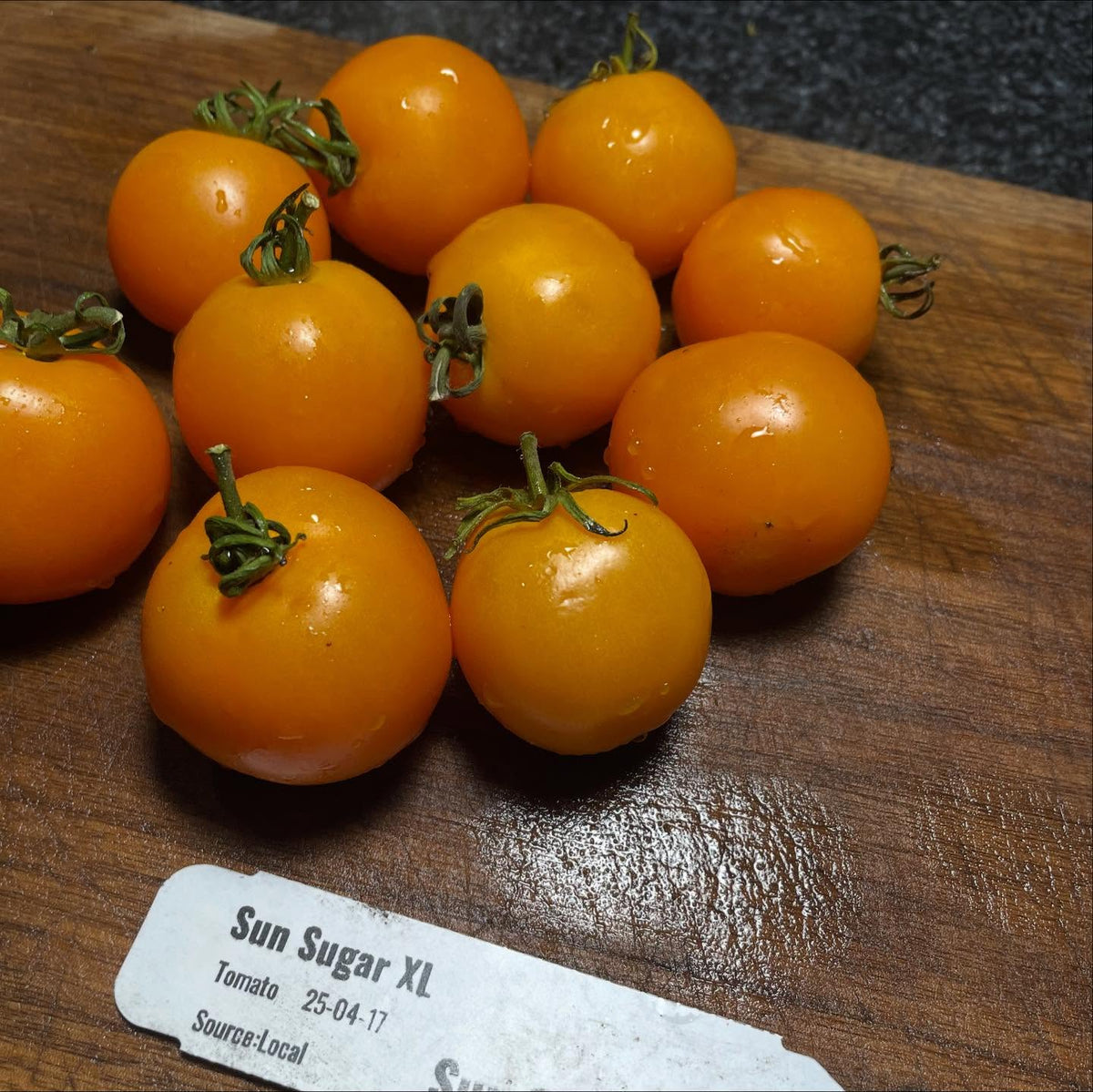 sun sugar xl tomatoes, I've been saving seed and growing them for about ten years now, image 2 of 4