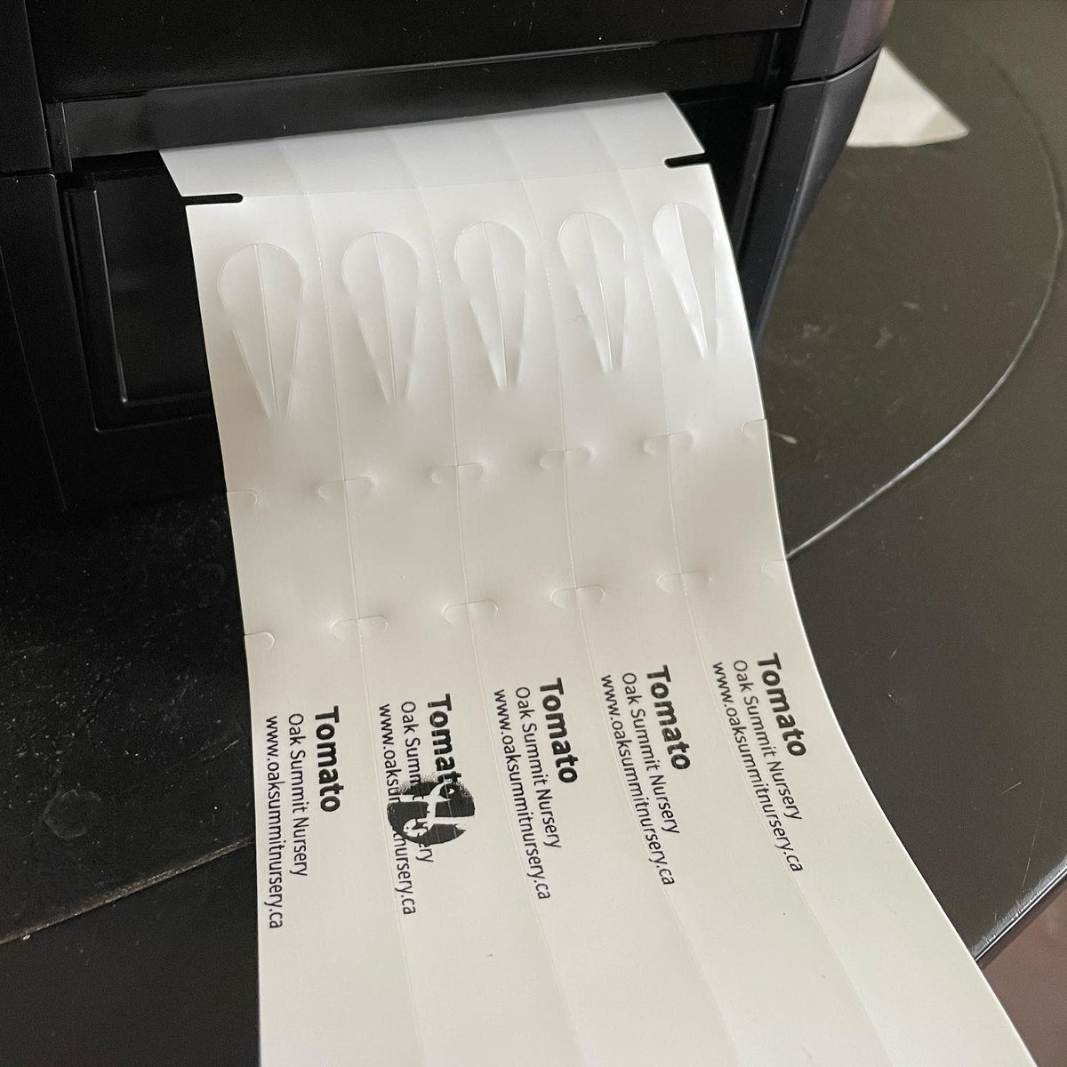 Testing vinyl tree tag printer