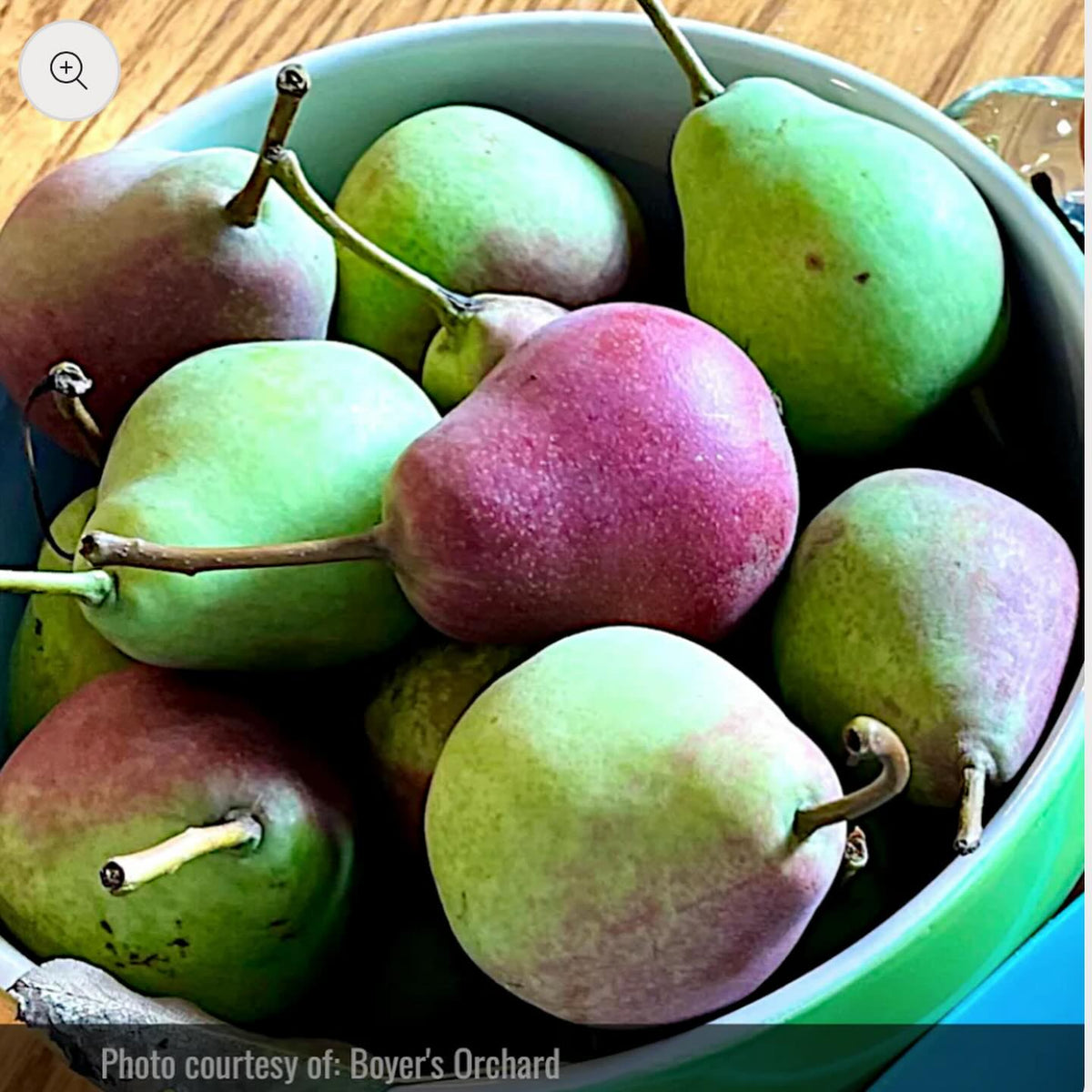 thanks to Boyer’s Orchard in Anchorage for contributing photos for our website, image 1 of 5