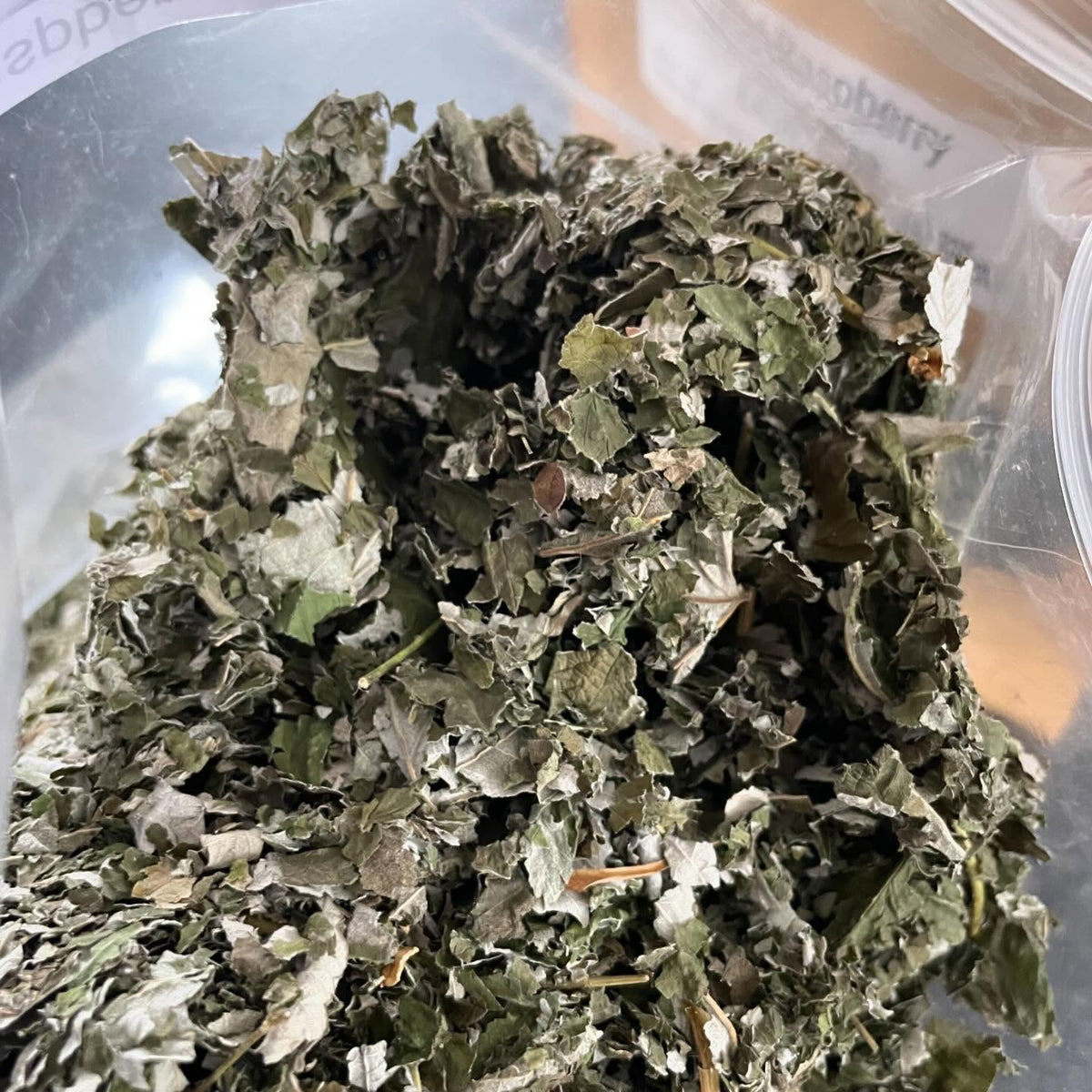 the forest around our place is full of wild raspberry, and I enjoy the tea/tisane made from the leaves, image 3 of 3