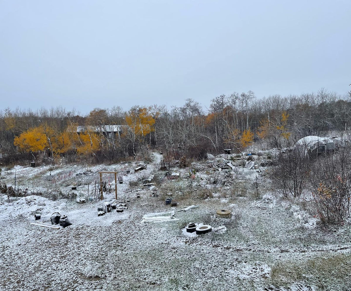 the start of winter for me is the first snow