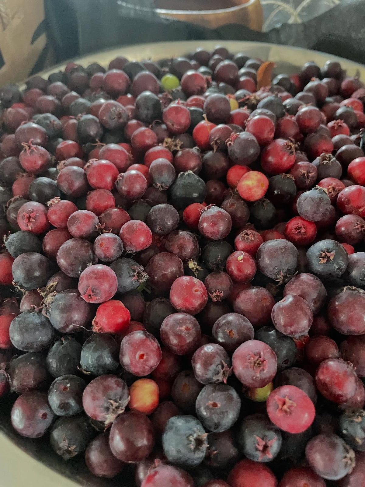 thiessen saskatoons from a local upick, super productive I picked two gallons in an hour this morning, image 8 of 8