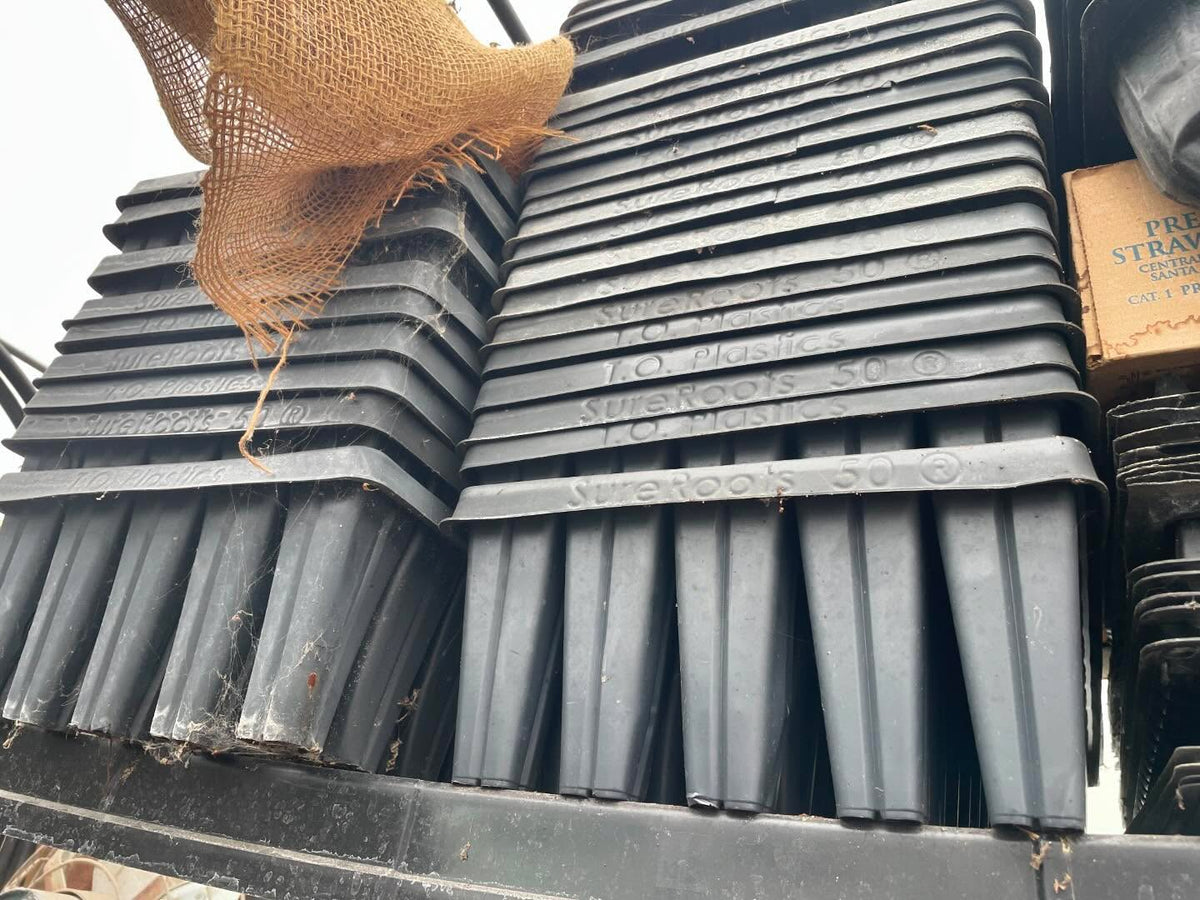 thinking about giving these old plug trays a go this year, image 1 of 5