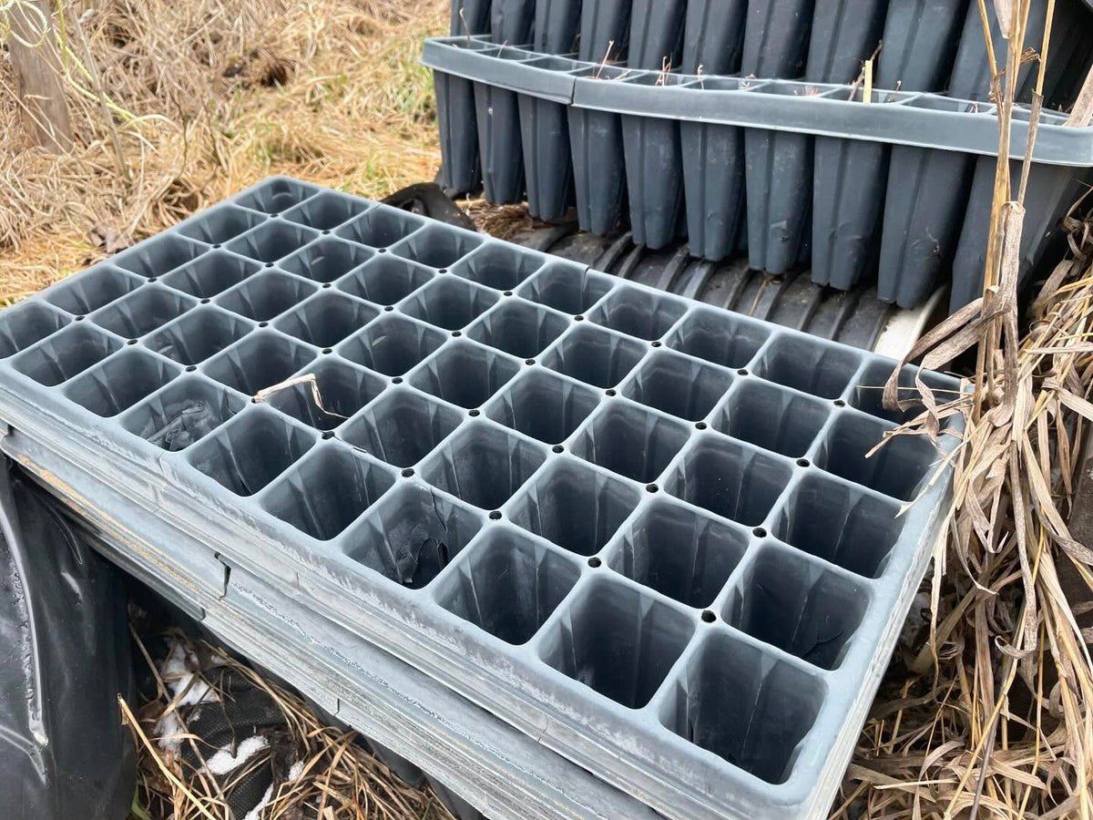 thinking about giving these old plug trays a go this year, image 2 of 5