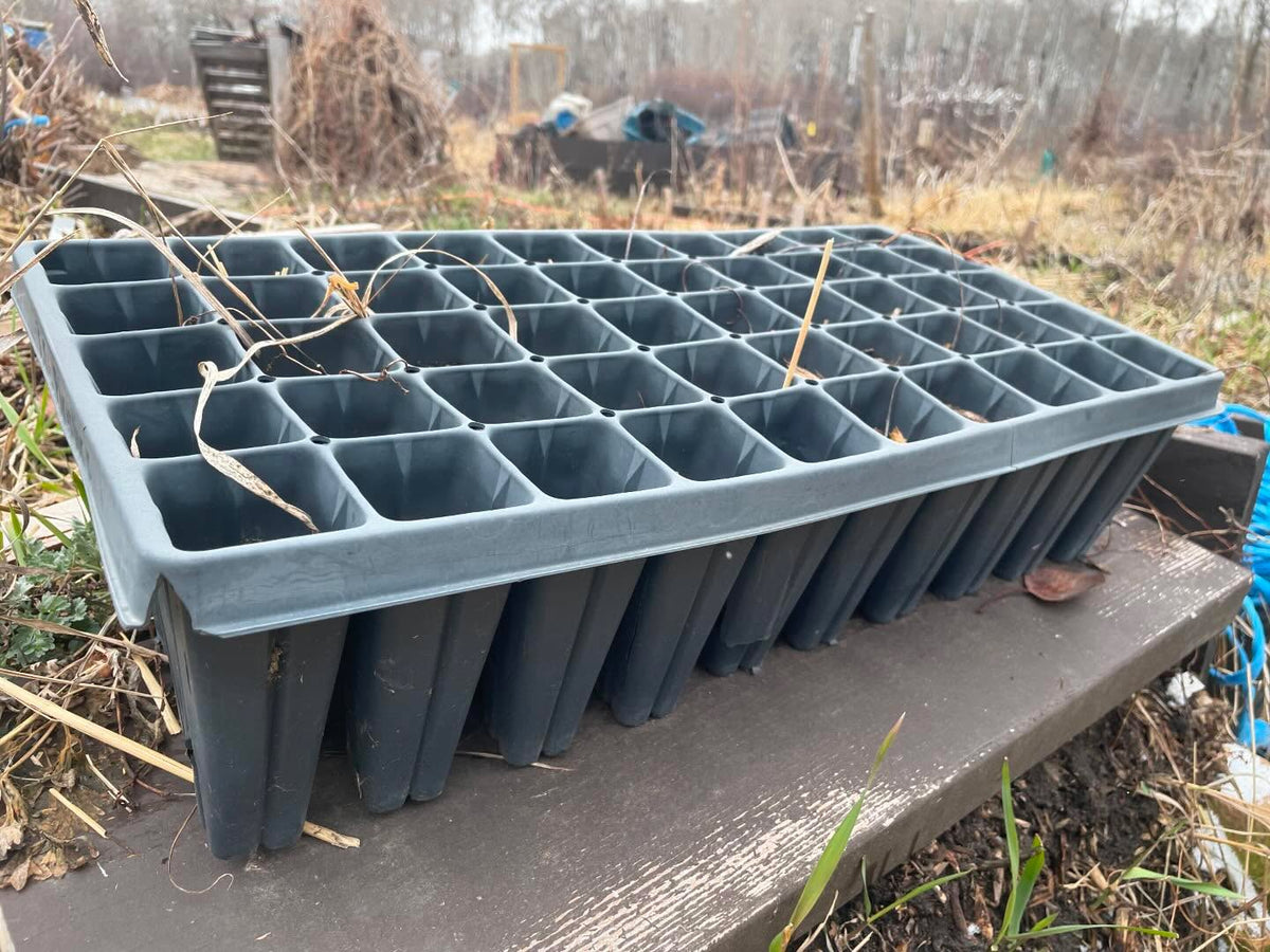 thinking about giving these old plug trays a go this year, image 4 of 5