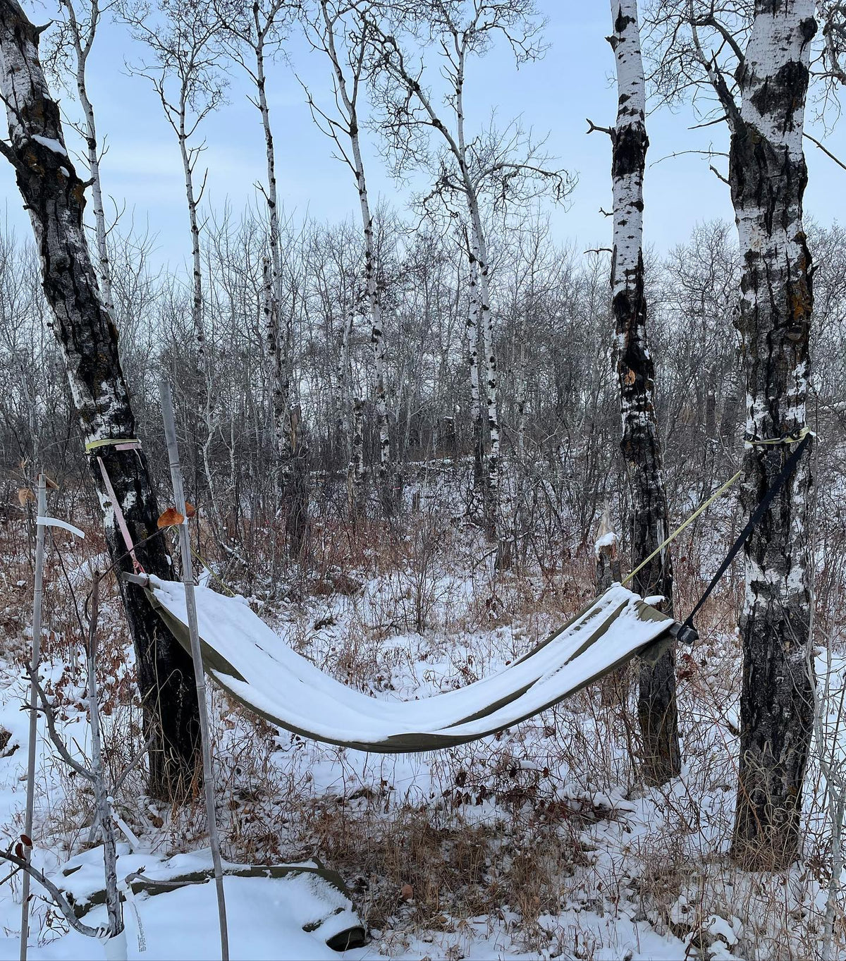 this old hammock in the orchard stays up all winter