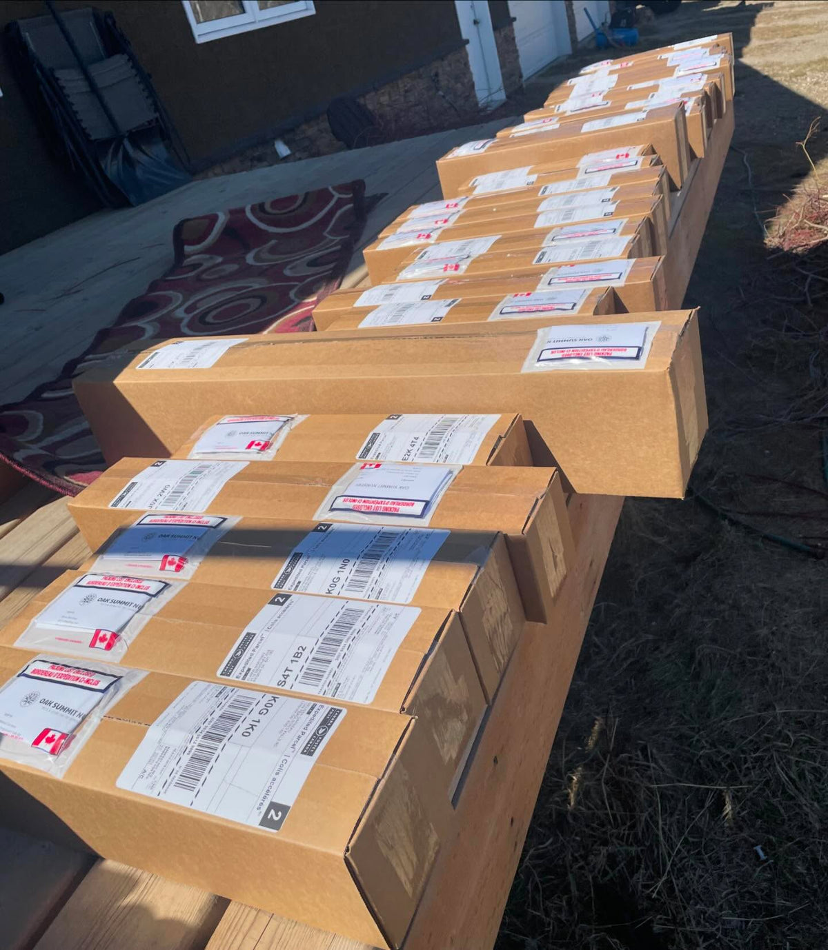 this week’s bare root shipment