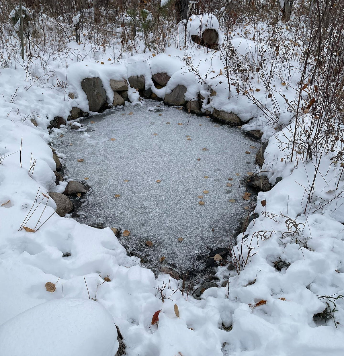 time to run an extension cord out to the pond heater