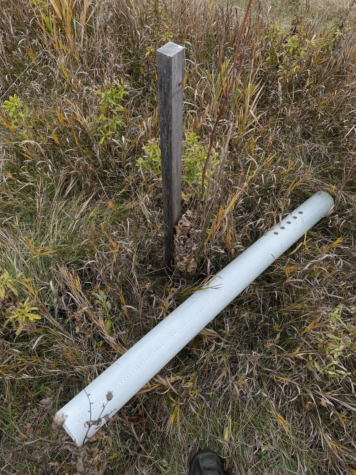 tree tubes can fill up with grass, helped out in this area today @assiniboinefoodforest to clear the grass, trim a bit, image 2 of 4