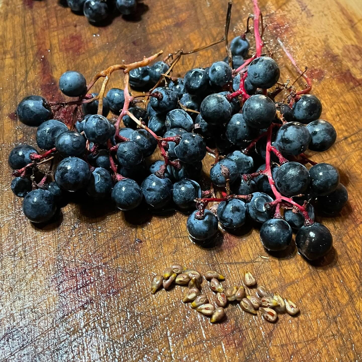 trying to id these grapes, image 1 of 2