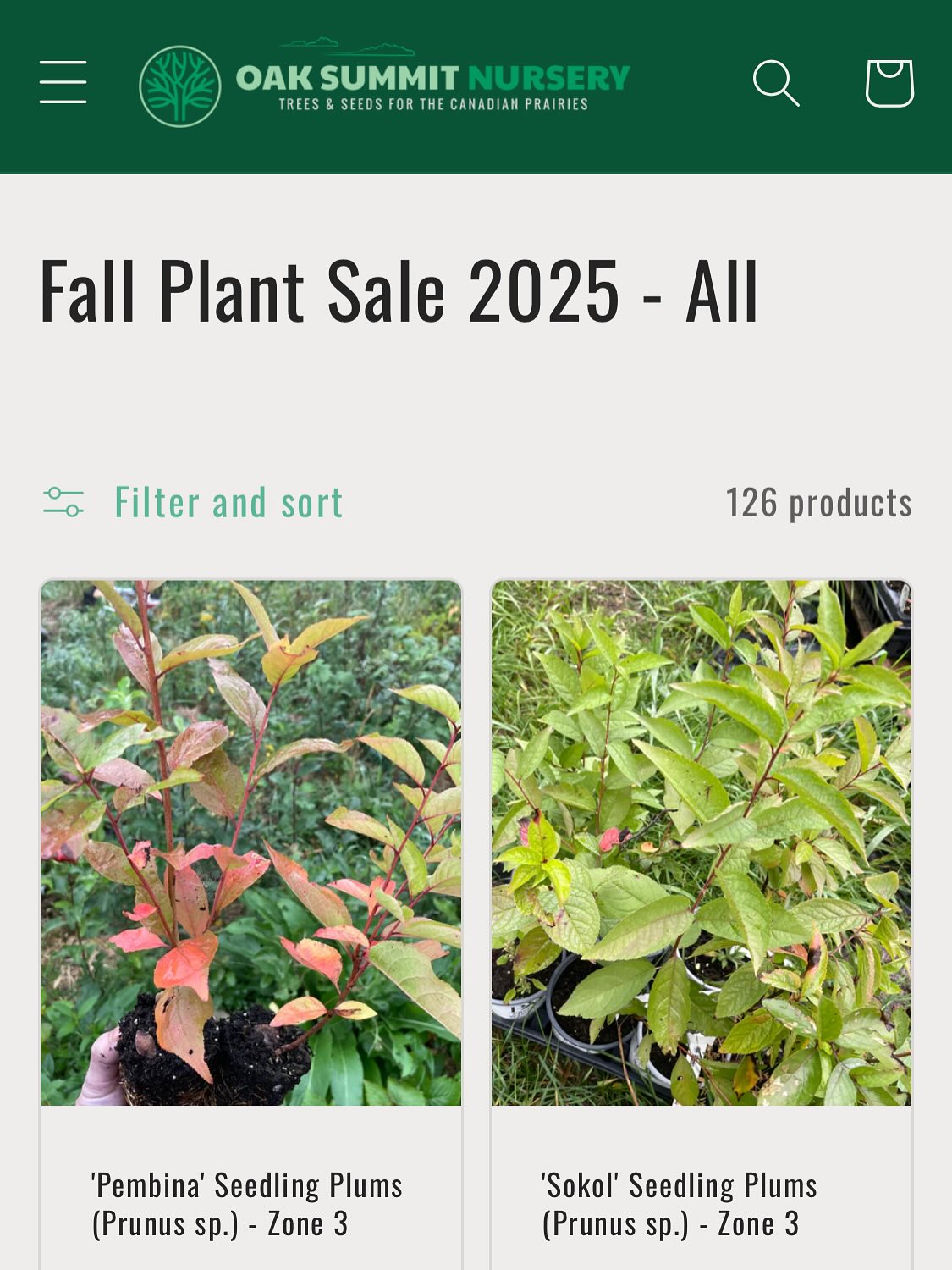 we have plants available for our fall sale, official announcement tomorrow while I finish adding all the listings, image 1 of 8