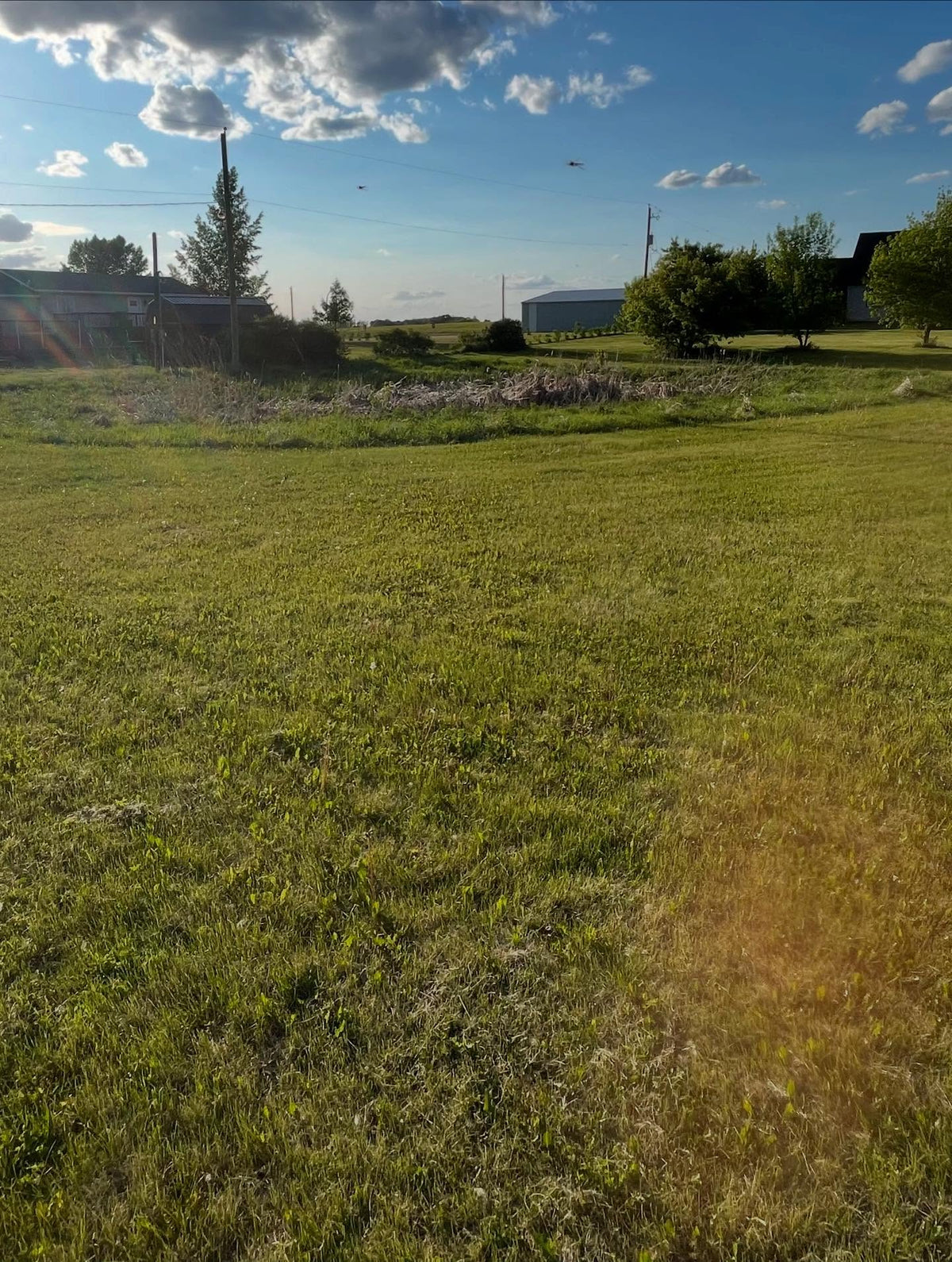 we have these lots at a nearby lake I keep meaning to plant some trees on, about a quarter of it floods in the spring