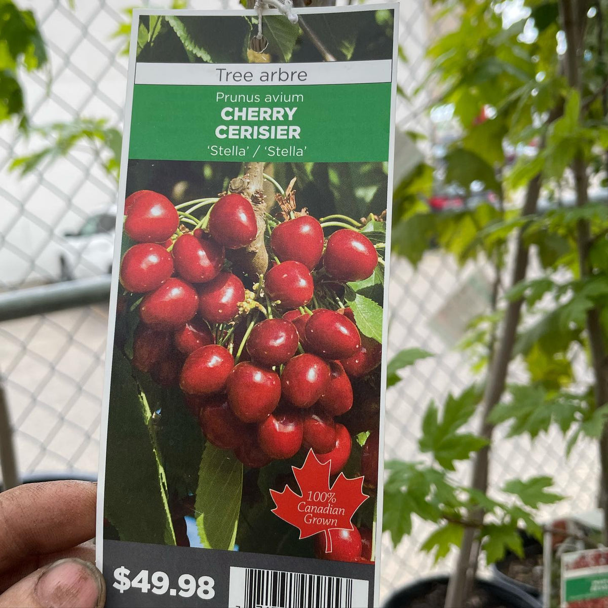 we’re located in zone 3 southern Manitoba, image 1 of 3