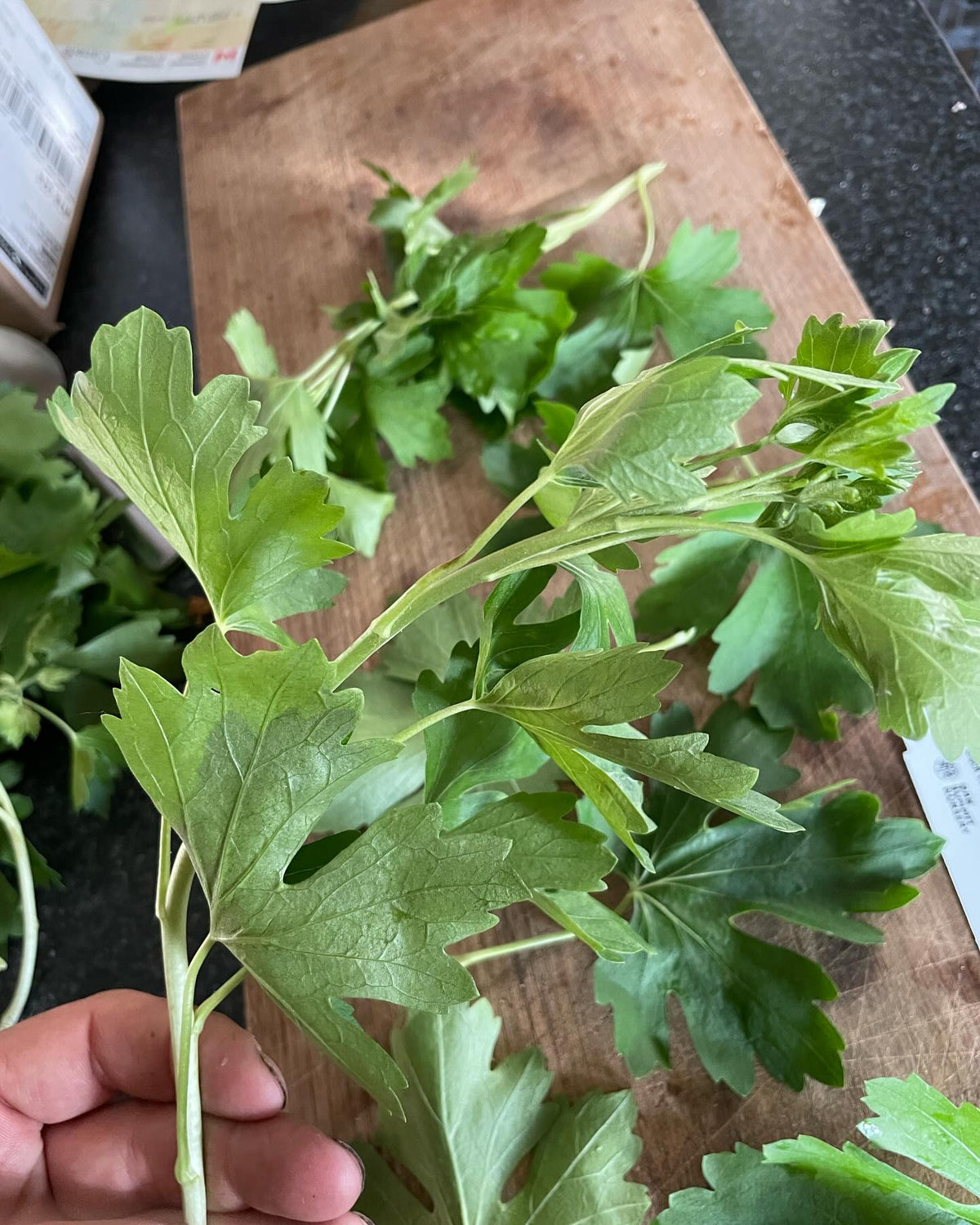 What cultivar is this, image 9 of 9