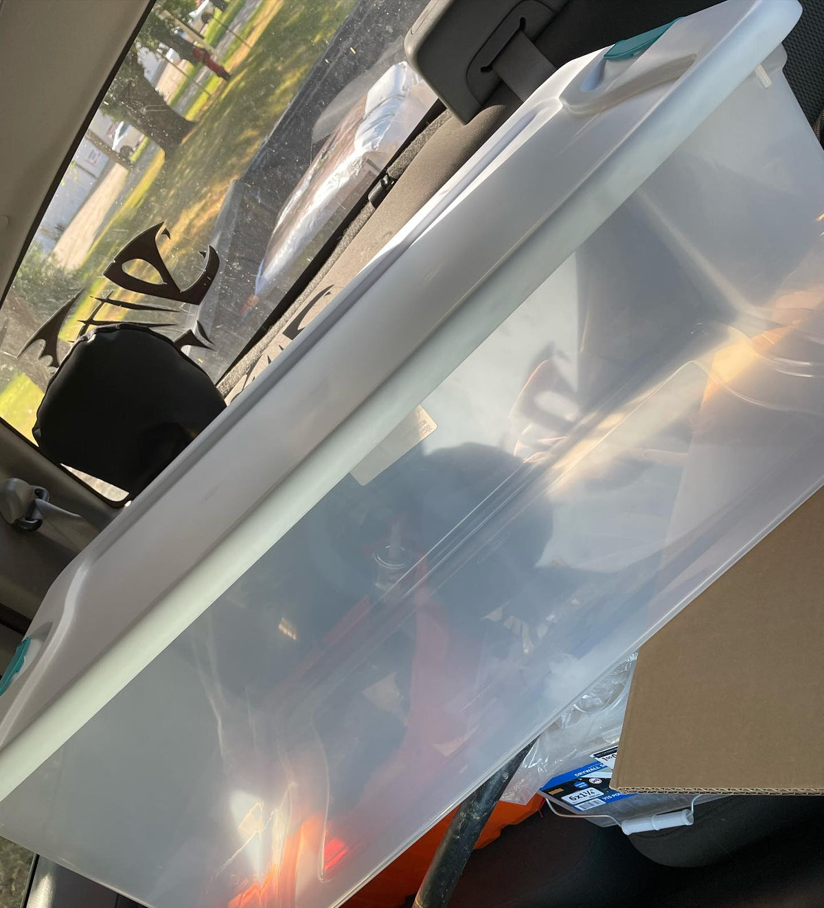 when i told the guy at the hardware store this tub’s going to be made into a still air box for some tissue culture he