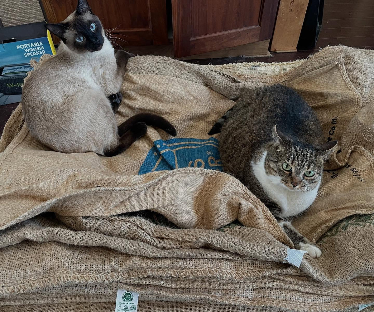 when you have so many coffee sacks