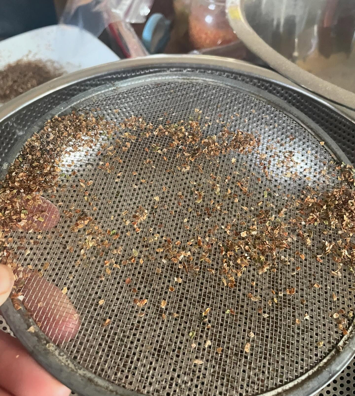 wild tobacco seed extraction, image 2 of 3