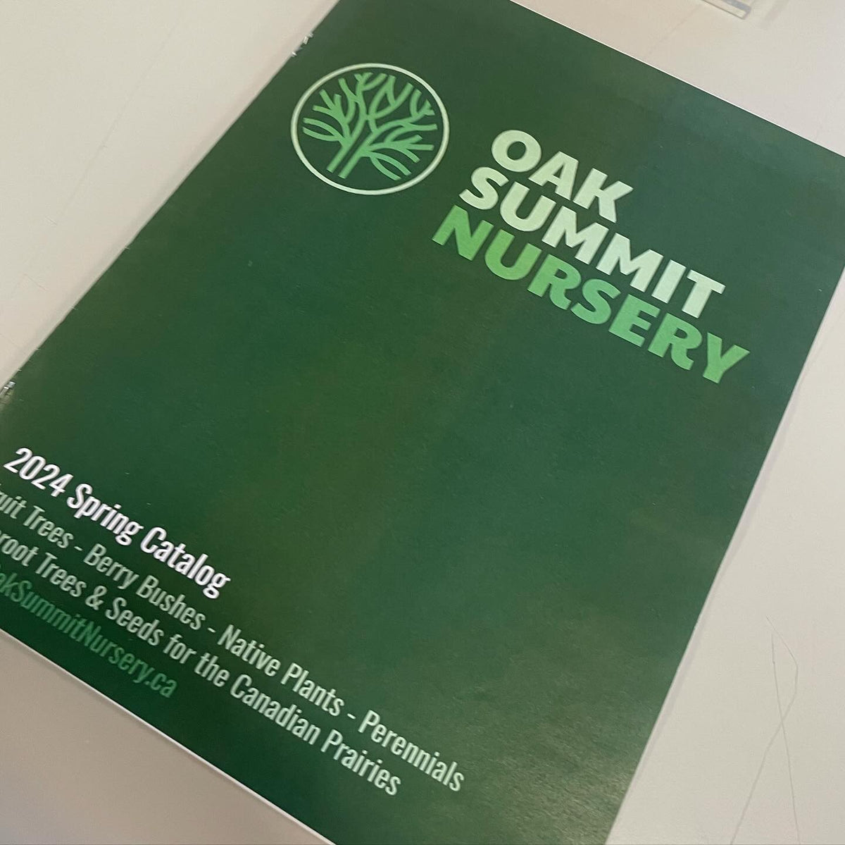 woop it’s a little green book, image 2 of 6