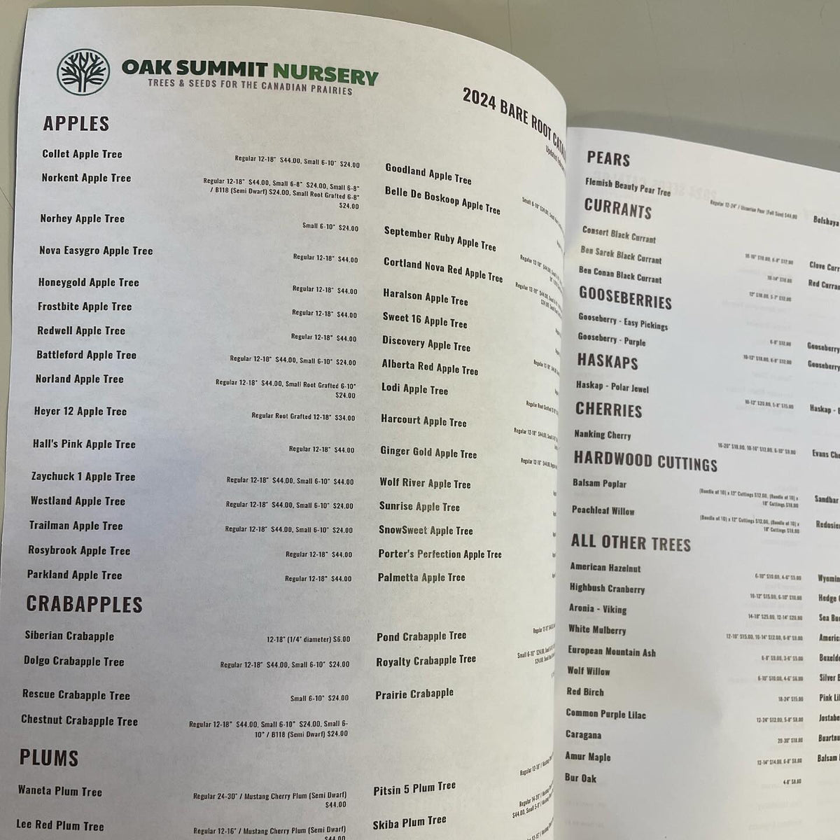 woop it’s a little green book, image 3 of 6