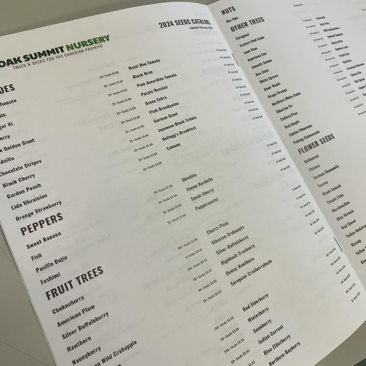 woop it’s a little green book, image 4 of 6