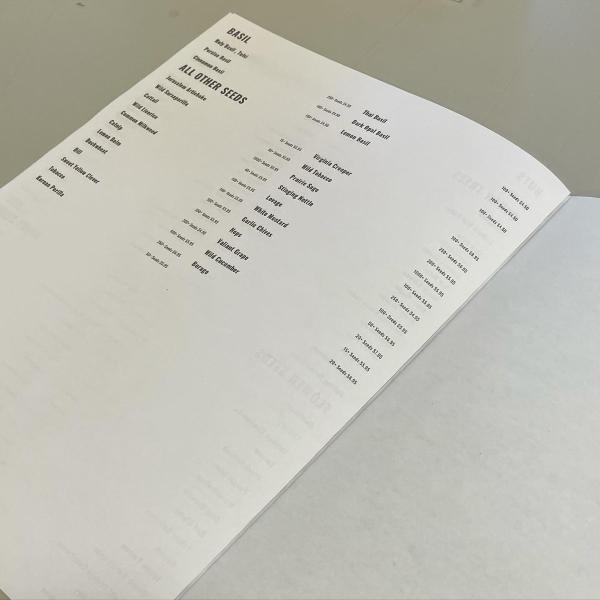 woop it’s a little green book, image 5 of 6