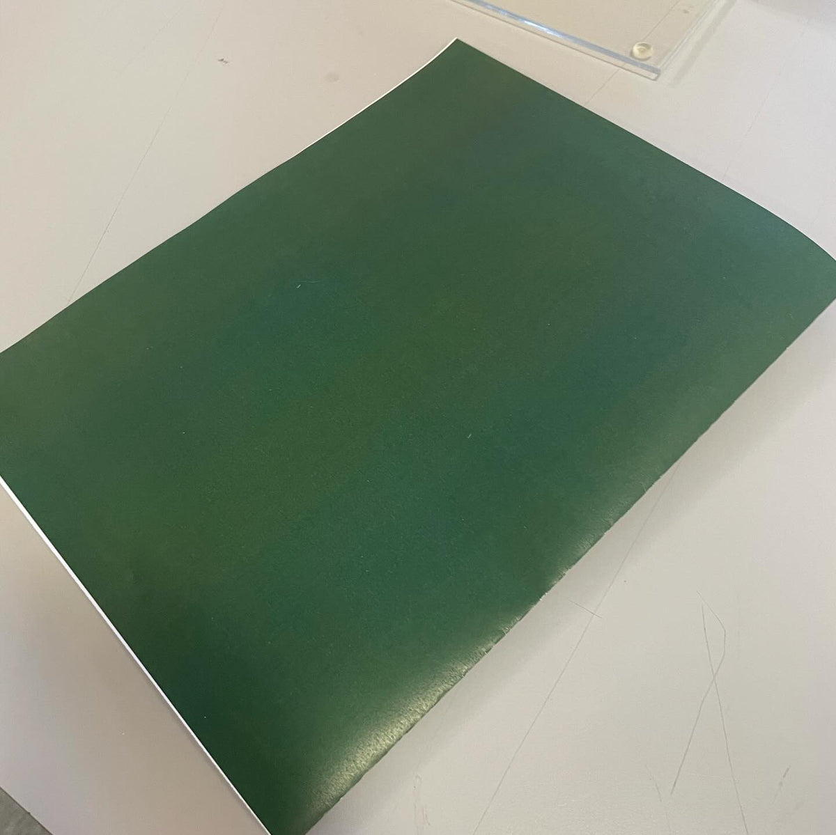 woop it’s a little green book, image 6 of 6