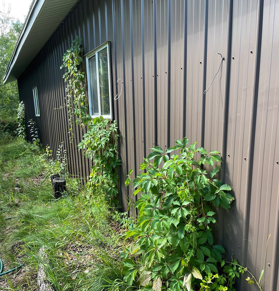 working on covering this wall with vines and espalier apples