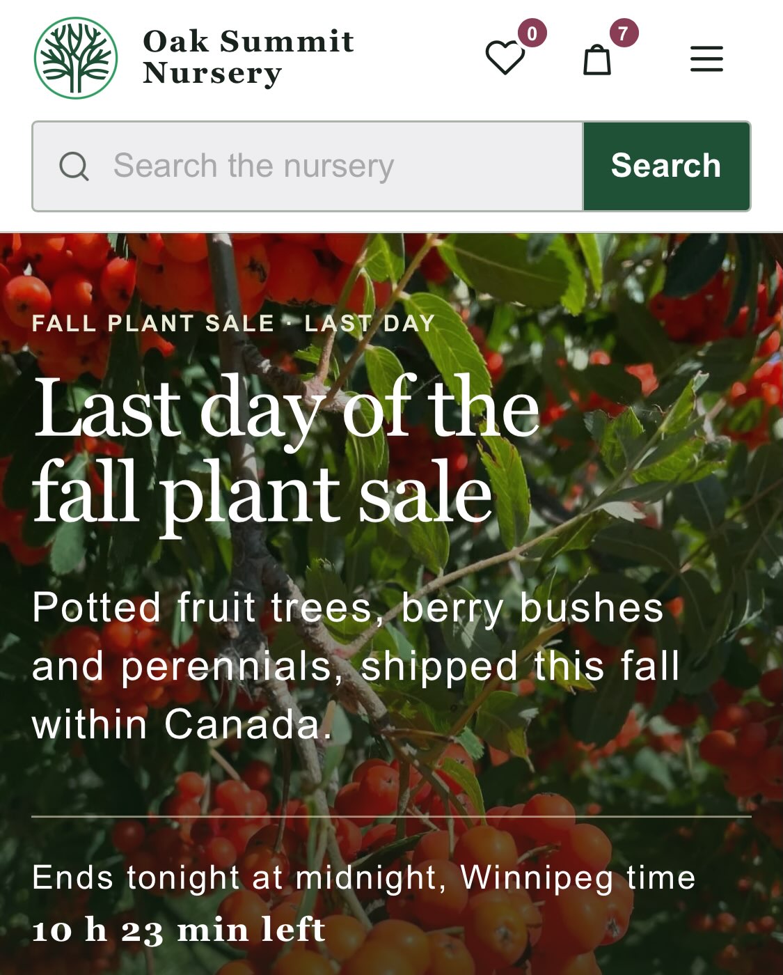Screenshot from October 20 of the Oak Summit Nursery homepage on the last day of the fall plant sale, with a countdown to midnight.