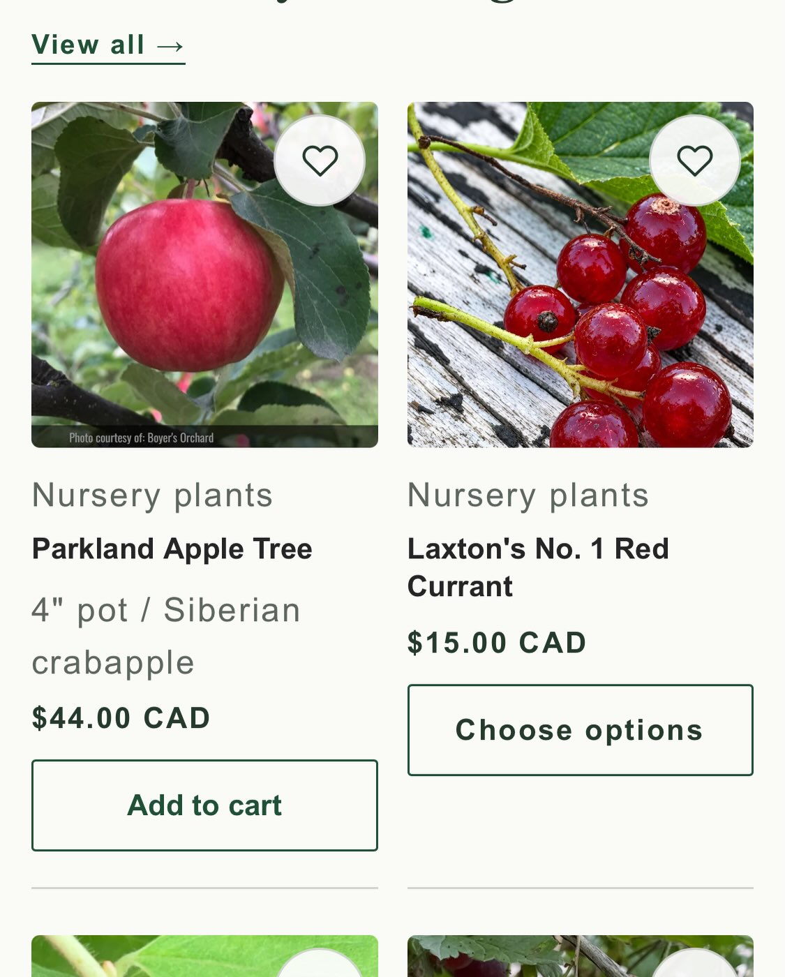Screenshot from October 20 of two product cards, Parkland Apple Tree and Laxton's No. 1 Red Currant, with prices and buttons. The apple photo carries a Boyer's Orchard credit.