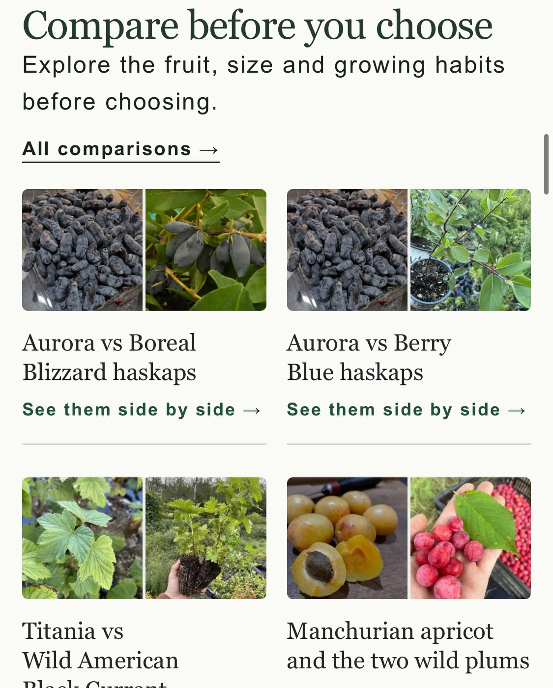 Screenshot from October 20 of the nursery's comparison cards for haskaps, black currants, and Manchurian apricot with two wild plums.