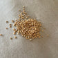 Red Elderberry Seeds (Sambucus racemosa) - 100+ Seeds