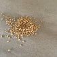 Red Elderberry Seeds (Sambucus racemosa) - 100+ Seeds