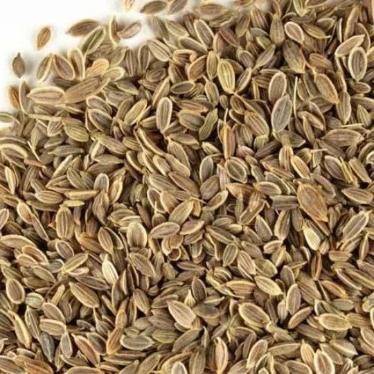 Semillas de eneldo (Anethum graveolens) - Hierba - Más de 200 semillas