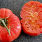 Pink Accordion Tomato Seeds - Heirloom Tomato - Indeterminate - 25+ Seeds