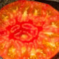 Hazel Mae Tomato Seeds - Heirloom Tomato - Indeterminate - 25+ Seeds