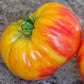 Hazel Mae Tomato Seeds - Heirloom Tomato - Indeterminate - 25+ Seeds