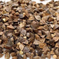 Graines de sarrasin (Fagopyrum esculentum, sarrasin commun) – Annuelle – 10 g – 350+ graines