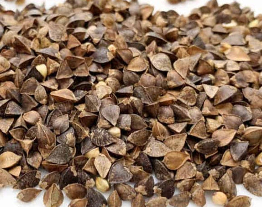 Semillas de Trigo Sarraceno (Fagopyrum esculentum, Trigo Sarraceno Común) - Anual - 10g - Más de 350 Semillas